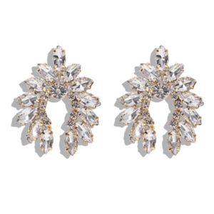 Beautiful Crystal Stud Statement earrings